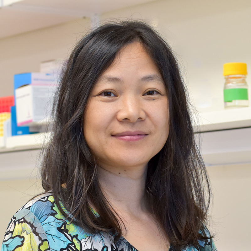 Zhiyu Zhao, Ph.D.
